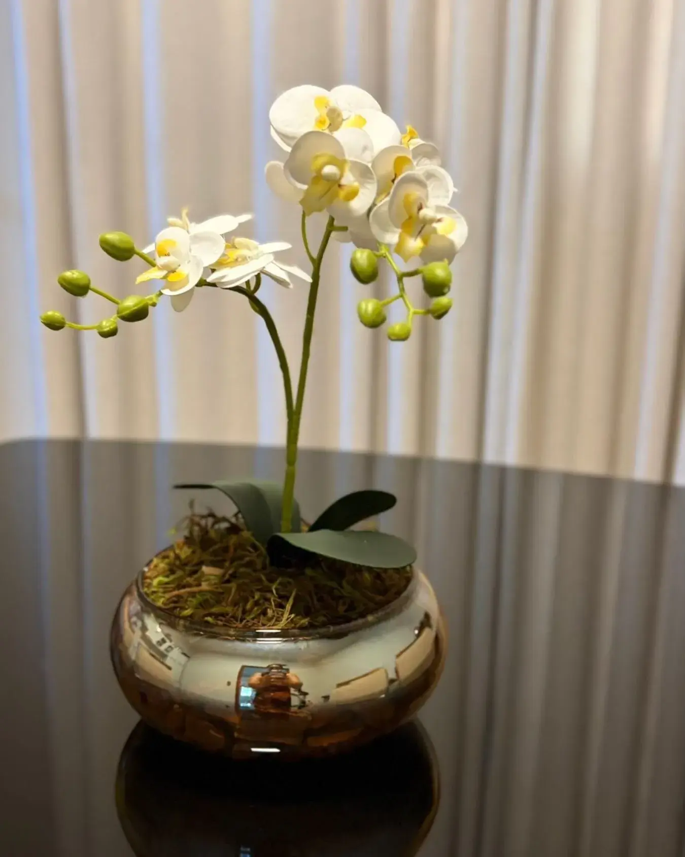 Orquídea branca em vaso metálico sobre mesa escura